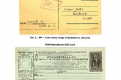 carpatho_ukraine_Page_14