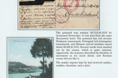 Prisoners of the Great War Send Home Picture Postcards Frame 8