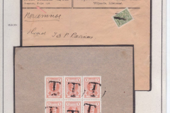 Russian Mute Cancels and Registration in WWI. Fragment of the Research Collection Frame 9